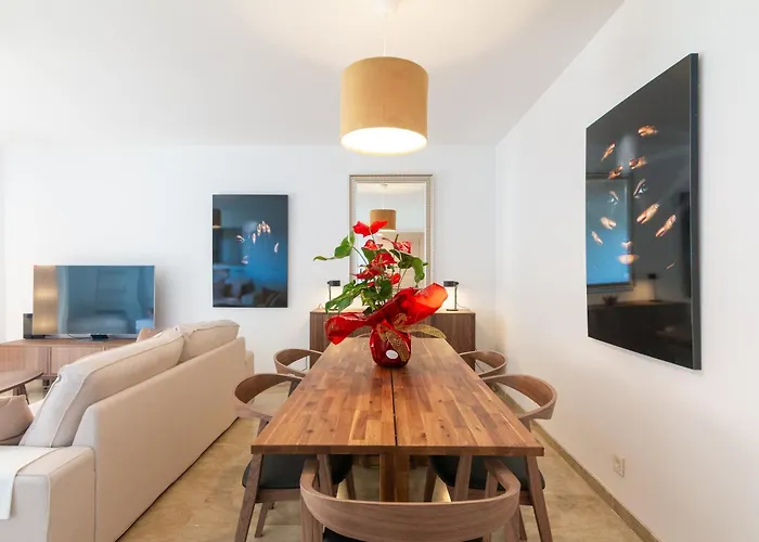 Large Apartment Marbella Del Mar